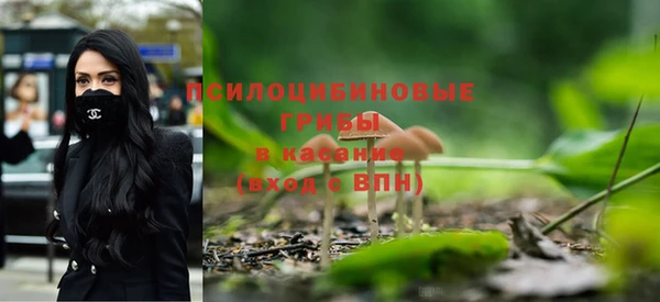 шишки Алзамай