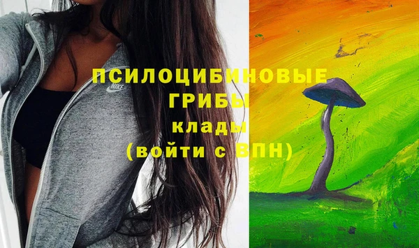 шишки Алзамай
