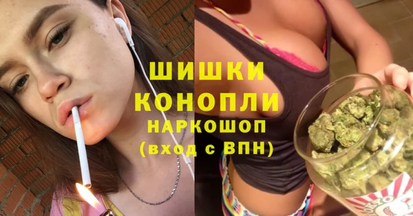 шишки Алзамай