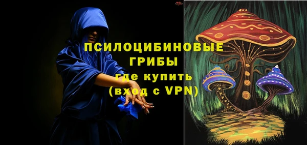 дживик Алексин