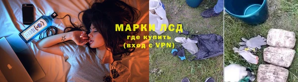 шишки Алзамай