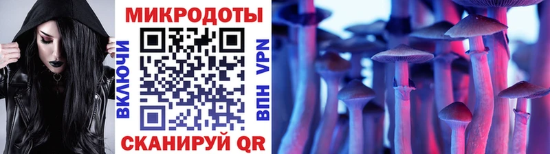 где купить наркотик  Нововоронеж  KRAKEN зеркало  Псилоцибиновые грибы мухоморы 