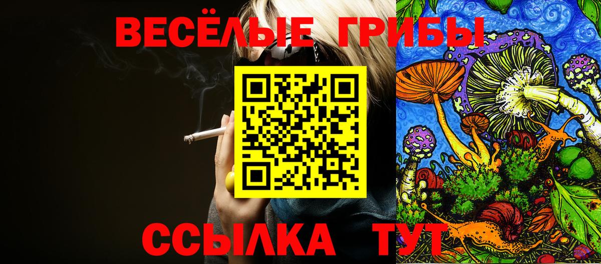 Галлюциногенные грибы GOLDEN TEACHER Нововоронеж