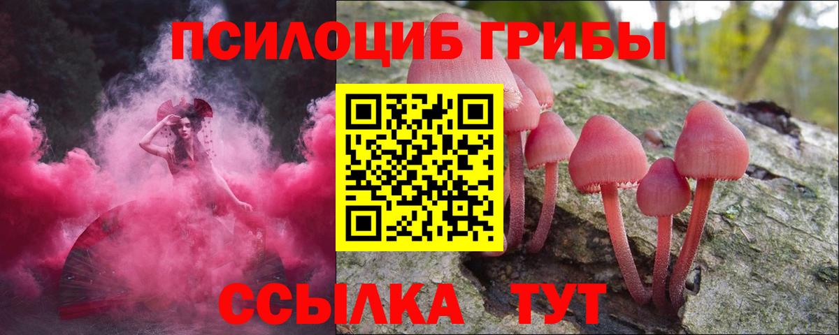 Нововоронеж  Галлюциногенные грибы GOLDEN TEACHER  Вход с VPN  Галлюциногенные грибы ЛСД 